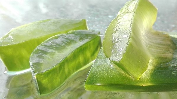 Découvrir les bienfaits du gel d'aloe vera à boire pour votre santé